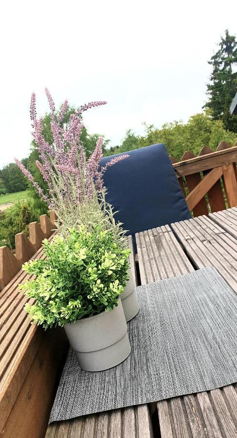 Appartement Grosse Koje Mit Terrasse à Rostock Extérieur photo